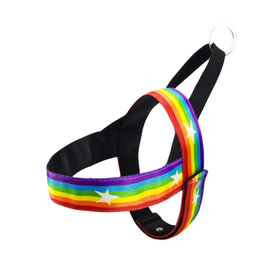 Cute Rainbow Dog Harness